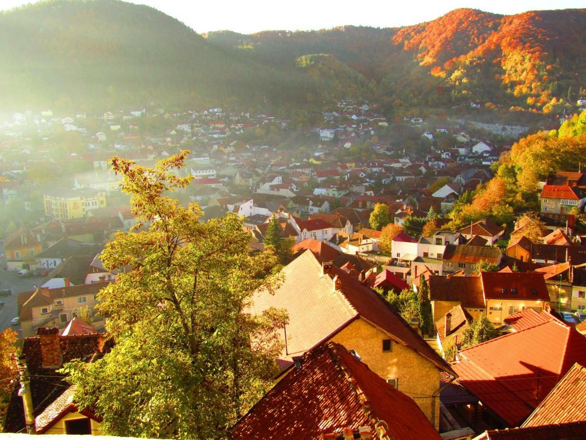 Vila Paul Best Paronamic View Over Medieval Historical Centre Brasov Ngoại thất bức ảnh