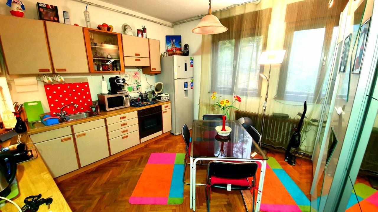 Vila Paul Best Paronamic View Over Medieval Historical Centre Brasov Ngoại thất bức ảnh